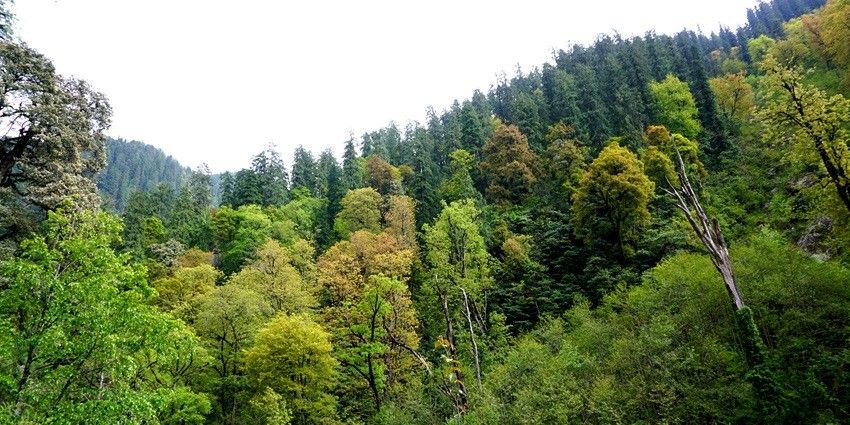 Snow covered Himalayan national park is one of the best places to visit in Manali in January