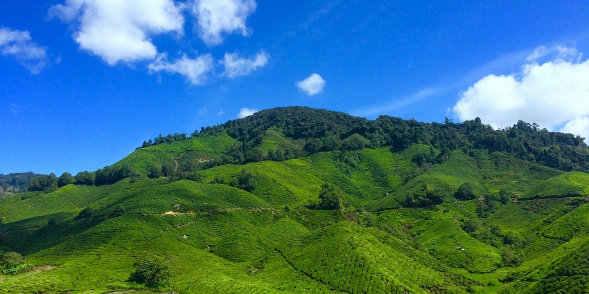 Green hill with lush vegetation, rolling slopes, and a serene, natural landscape.