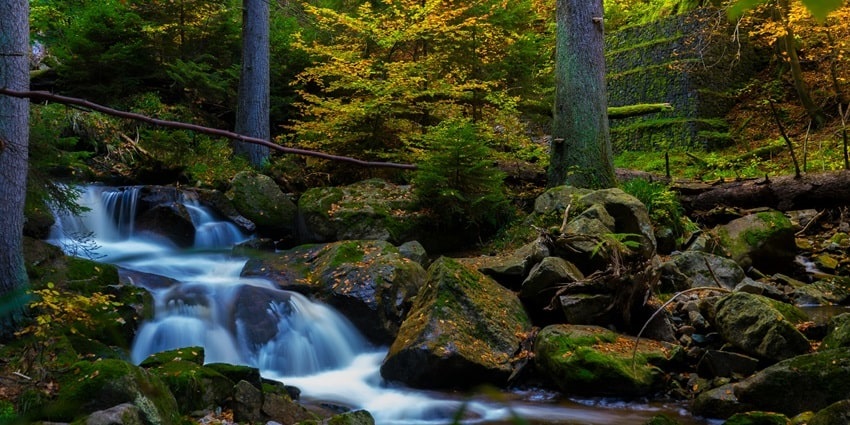 A waterfall surrounded by greenery and serene landscapes near the location of Dimapur Music Festival