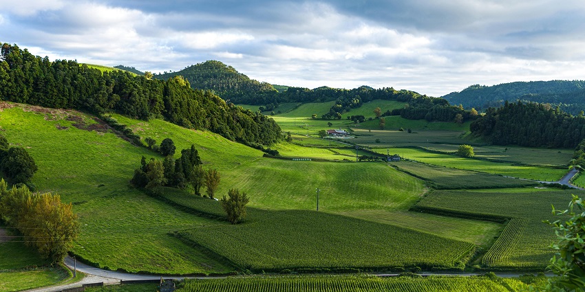 Image of vast green grass field under a clear blue sky, stretching out to the horizon.