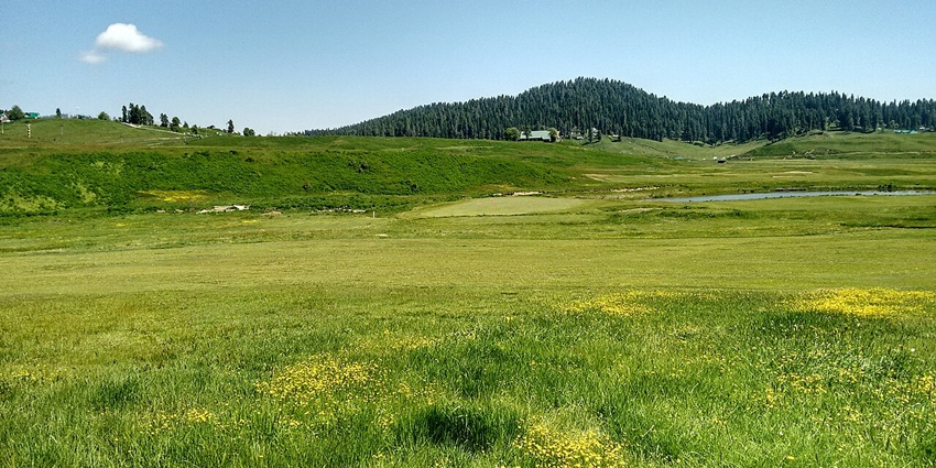 Lush greenery of Gulmarg Golf Course in Kashmir, surrounded by serene landscapes