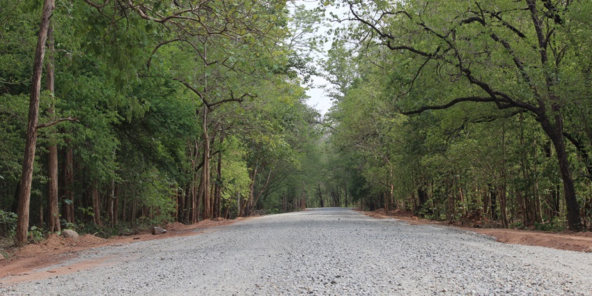 See nature at the Gumti Wildlife Sanctuary, one of the wildlife sanctuaries in Tripura.