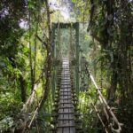 Gunung Mulu national park is a place offering rich biodiversity to witness with breathtaking views