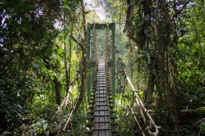 Gunung Mulu national park is a place offering rich biodiversity to witness with breathtaking views