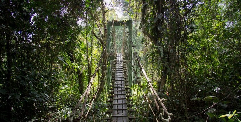 Gunung Mulu national park is a place offering rich biodiversity to witness with breathtaking views