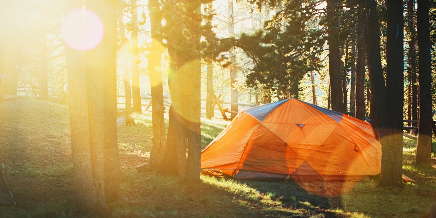 Gurez Valley Trekkers is one of the best spots for camping in Kashmir for thrill seekers.