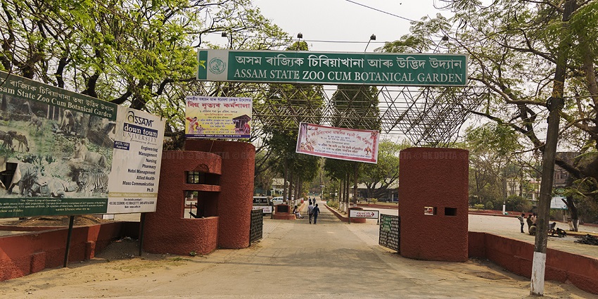 Entry gate of Guwahati Zoo, featuring welcoming signage and traditional architecture.
