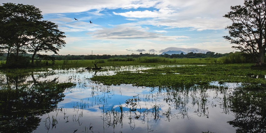 A view of Habarana Lake, one of the best spots to explore near Sigiriya Rock Fortress.