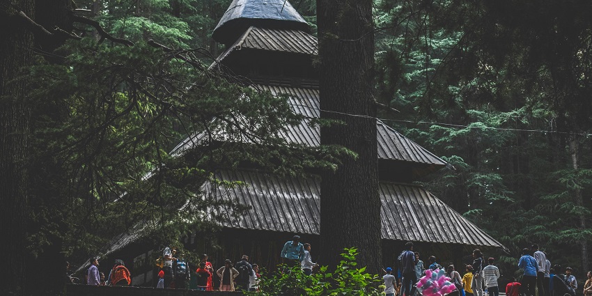 A breathtaking view of the Hadimba Temple surrounded by tall pine trees during the day.