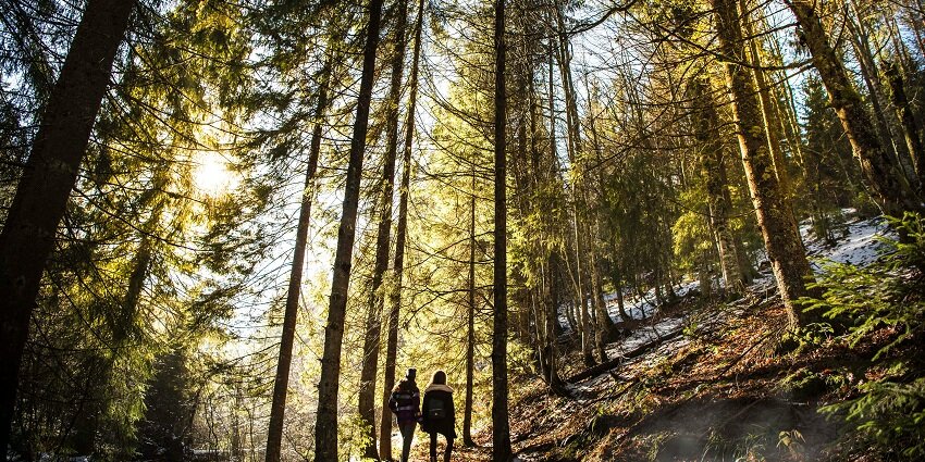 Haflong To Jatinga Trail is suitable for trekking in Assam & have a thrilling experience.