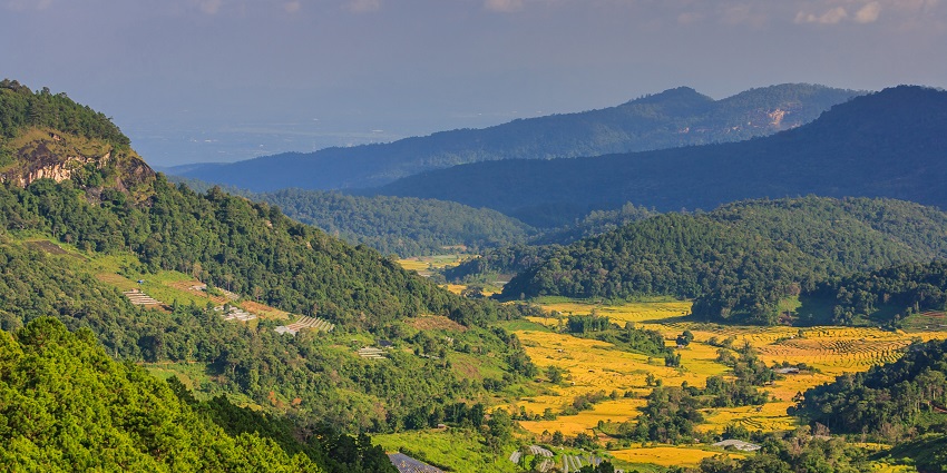 A breathtaking view of a lush green grassland in Hajo with mountains in the background.