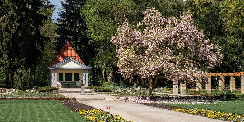 Hakgala Botanical Garden, a must-visit place in Nuwara Eliya, lush with exotic flora.