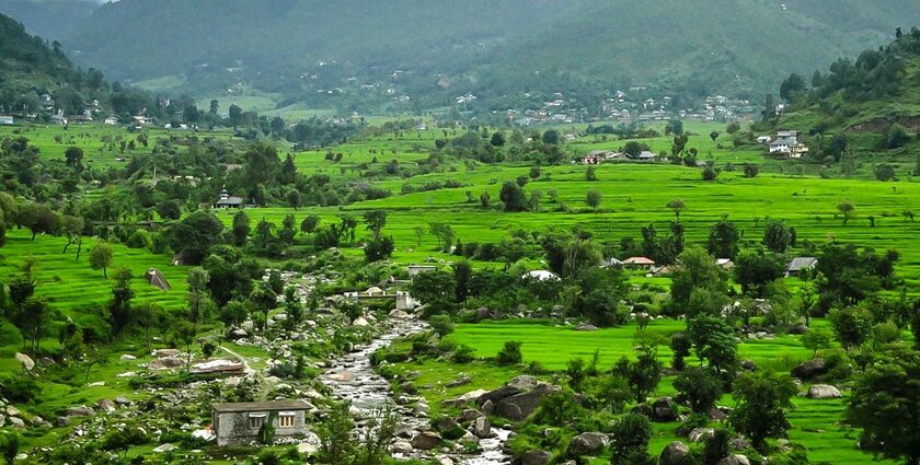 An enchanting view focussing on the lush greenery and serenity of the place in Himachal.