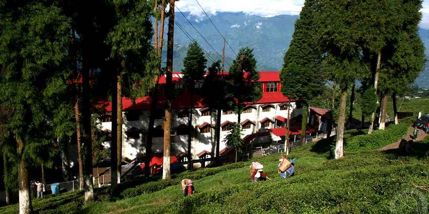 Happy Valley tea estate is one of the most popular tourist destinations near Tinchuley monastery