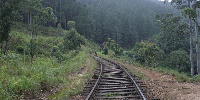 Image of a picturesque mountain and railway track surrounded by lush greenery.