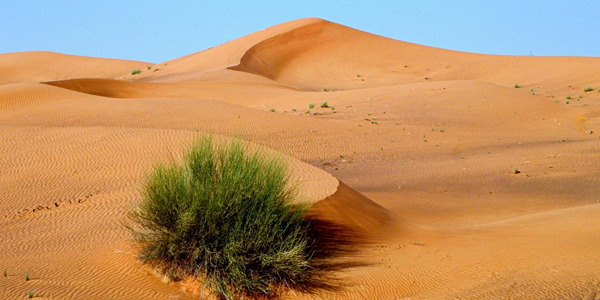 Majestic view of Hatta Desert, one of the tourist attractions near Hatta Kayak Dubai.