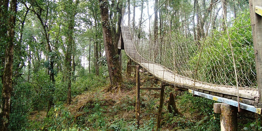 Lolegaon offers rich biodiversity with dense forests of pine, oak and rhododendron.