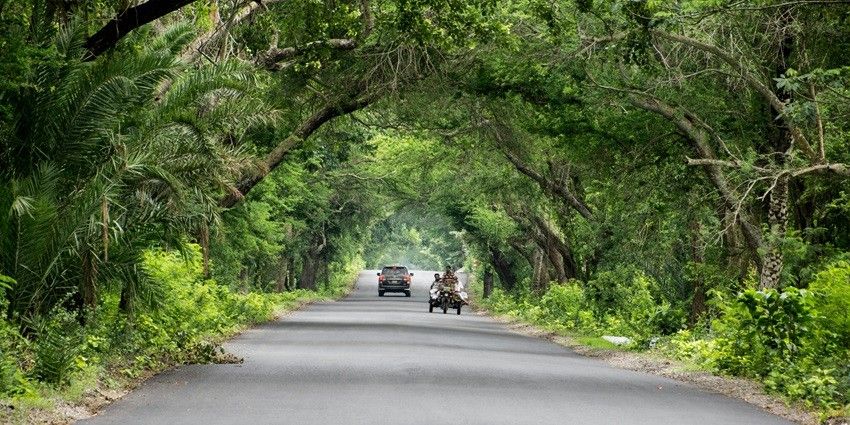 Cars passing through the highway which is surrounded by green lush trees and forest