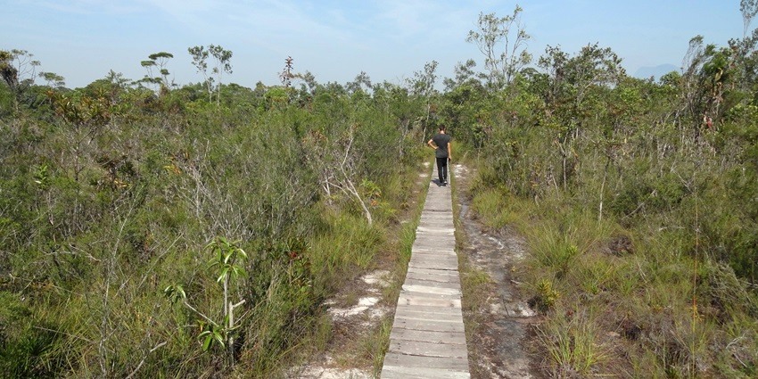 An image showing an individual hiking along the trail while witnessing the natural beauty.