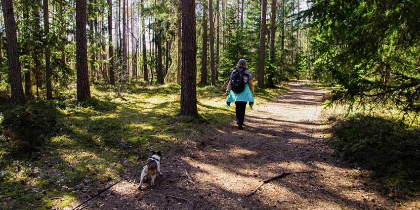 Woman with a black backpack walking on a wooded pathway with her dog.