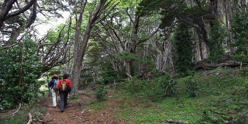 Enjoy hiking through the ideal setting of Eco Adventure Park for an immersive experience.