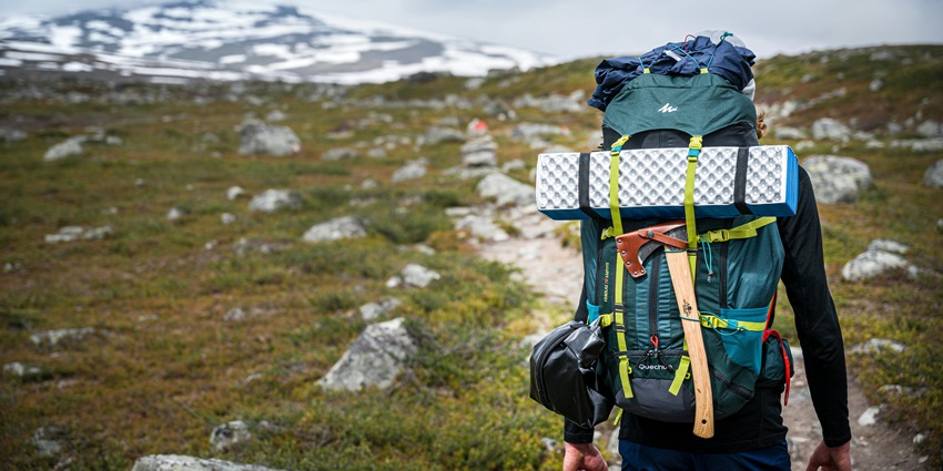 Beautiful snapshot of the utilities of a hiker on the woody trails—Hiking in Singapore