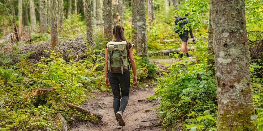 This adventure park offer a variety of outdoor activities like trekking and climbing rope bridges and nets