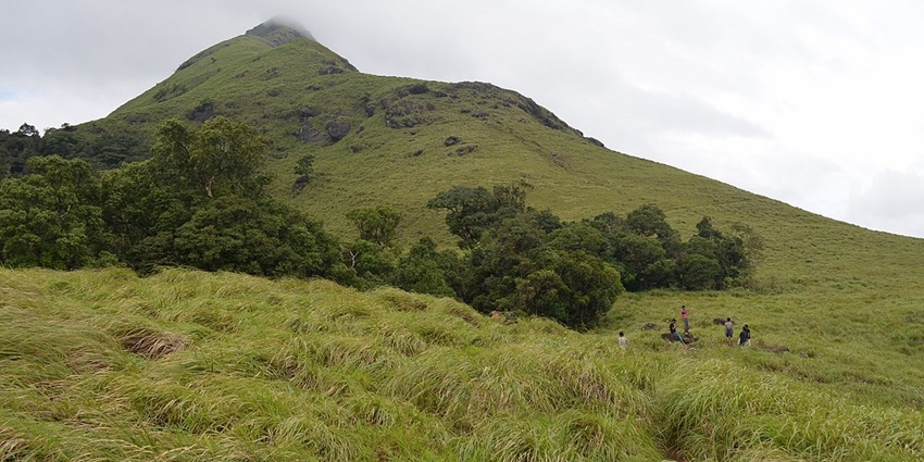 Hill station in Wayanad with rolling green hills, tea plantations, and misty landscapes.
