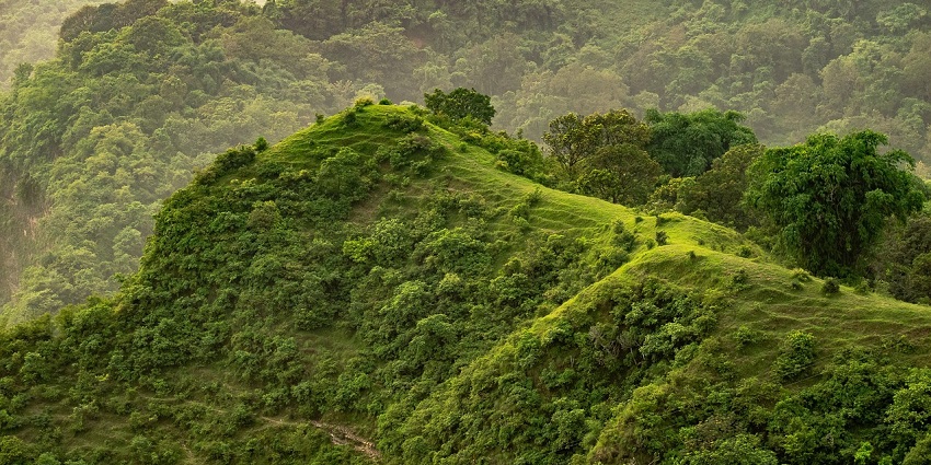 Rolling green hills and grassy landscapes under a clear blue sky - picnic places in Odisha.