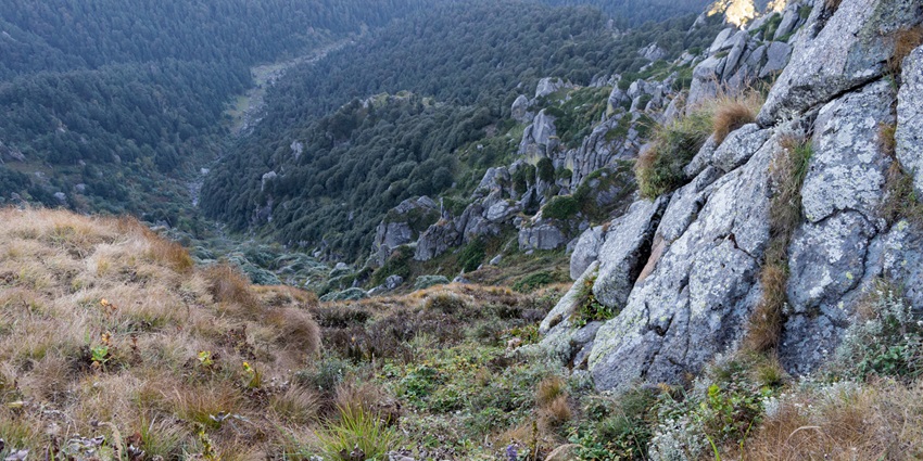 Panoramic views of the Churdhar hills covered in the lush green dense jungle