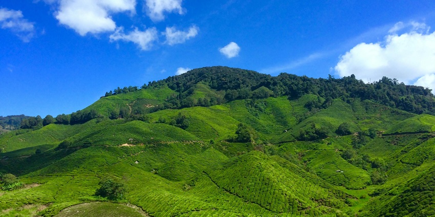 Bagheswari Hills with lush greenery, a serene landscape, and a view of the surrounding.