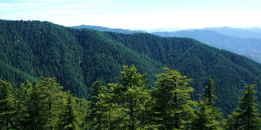 Verdant mountains of Kufri, an ideal haven for tourists seeking an escape in nature's embrace