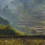 Exploring the beautify green lush hillside is one of the best things to do in Araku Valley