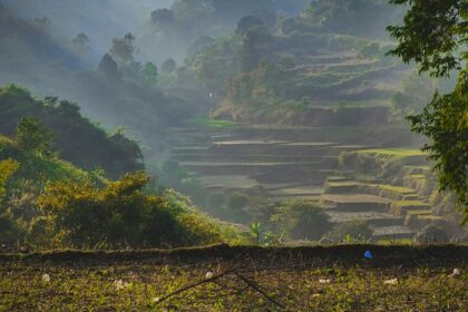 Exploring the beautify green lush hillside is one of the best things to do in Araku Valley