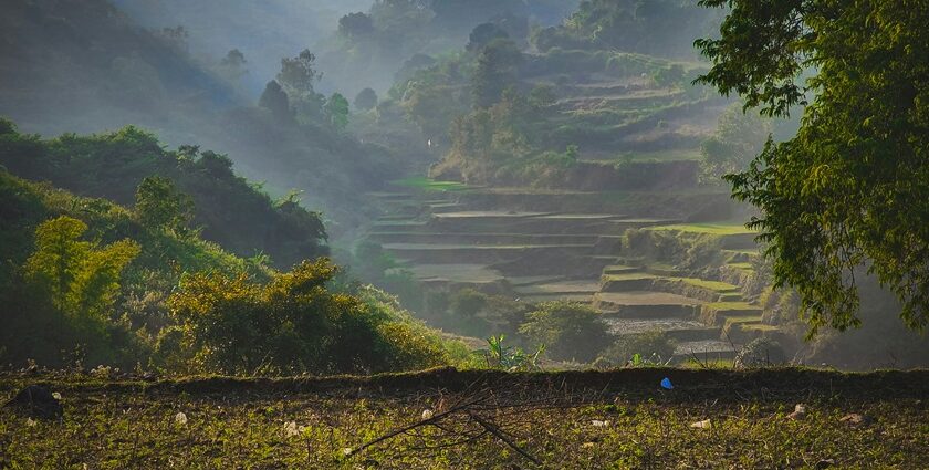 Exploring the beautify green lush hillside is one of the best things to do in Araku Valley