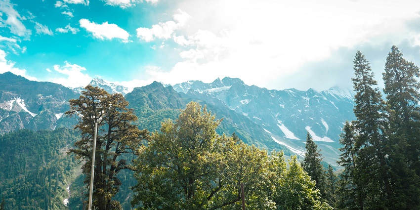 The Nargu Wildlife Sanctuary is elegantly perched in the region of Himachal Pradesh.