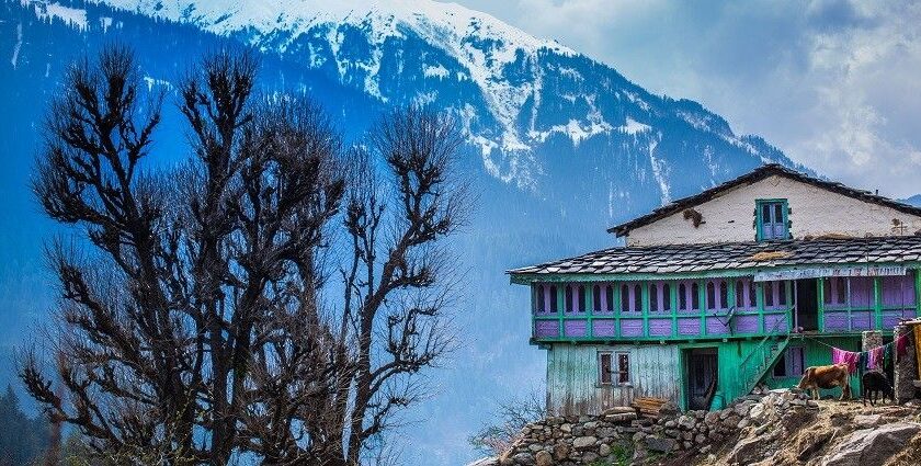 Scenic view of the Himalayas from Nakthan Village, Himachal Pradesh, showcasing majestic peaks.