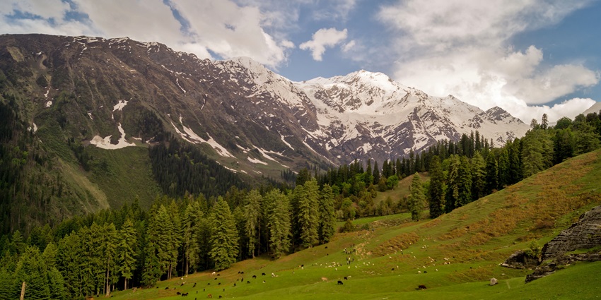Scenic image of the sunset over the peaks of Himalaya around the manali wildlife sanctuary