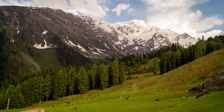 One of the best places to visit in Kufri