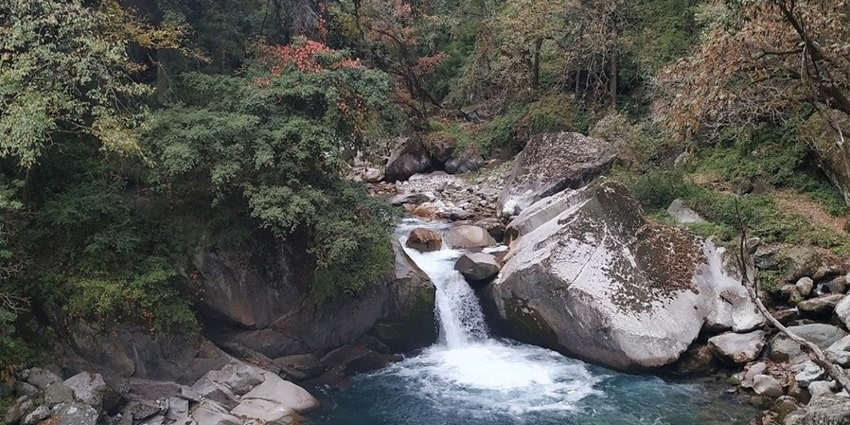 Great Himalayan National park is one of the serene places to visit in Tirthan valley.