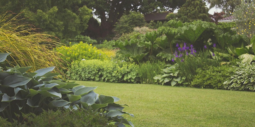 Hirwa Van Garden is one of the scenic places to visit in Silvassa to witness greenery.