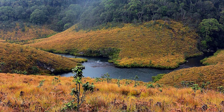 Horton Plains National Park is known for its nocturnal mammals like langurs and giant squirrels