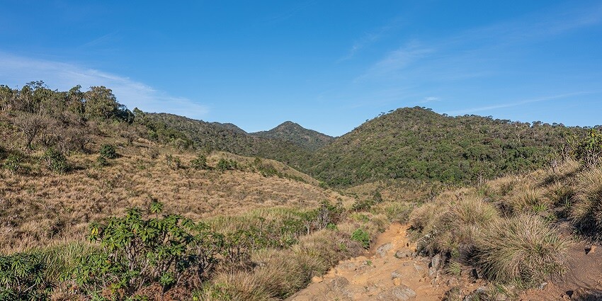 A view of the Horton Plains National Park with clear blue skies in the background.