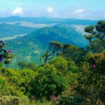 Enjoy the breathtaking views from the top of Horton Plains National Park in Sri Lanka.