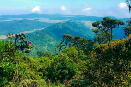 Enjoy the breathtaking views from the top of Horton Plains National Park in Sri Lanka.