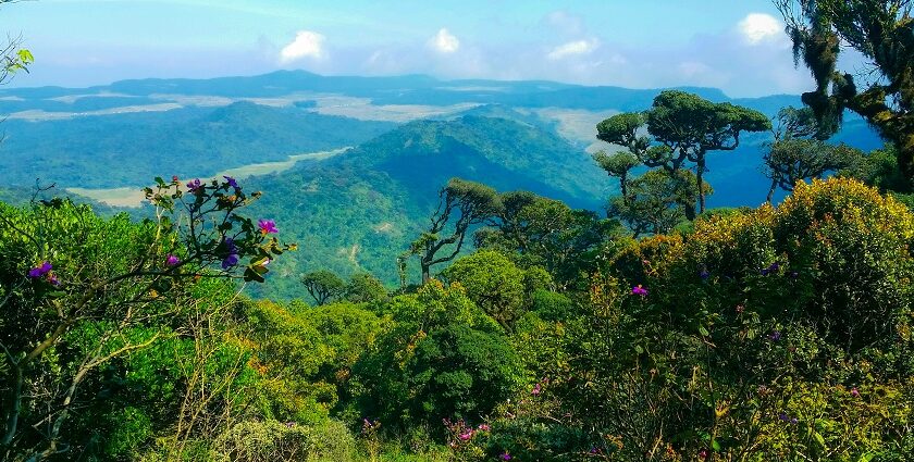 Enjoy the breathtaking views from the top of Horton Plains National Park in Sri Lanka.