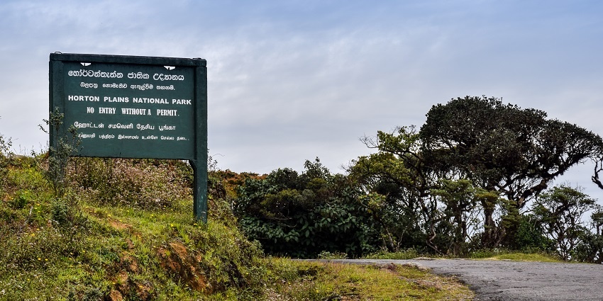 Scenic view of lush greenery and mountains at Horton Plains National Park, Sri Lanka.