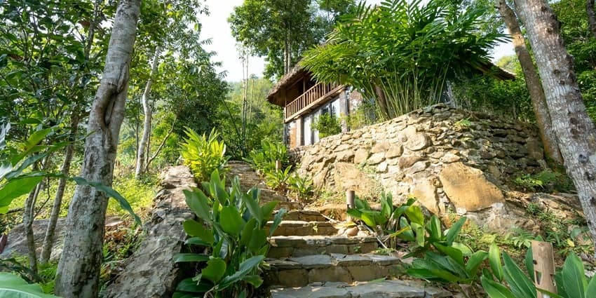 A small beautiful cottage in the dense lush jungle near the natural water spring