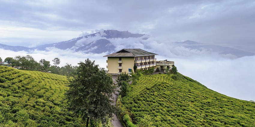 There are multiple options of stay near Kaziranga National Park with picturesque views.