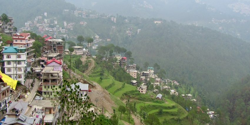Top view of the hills of Shimla, laden with vegetation and giant pine trees in Himachal